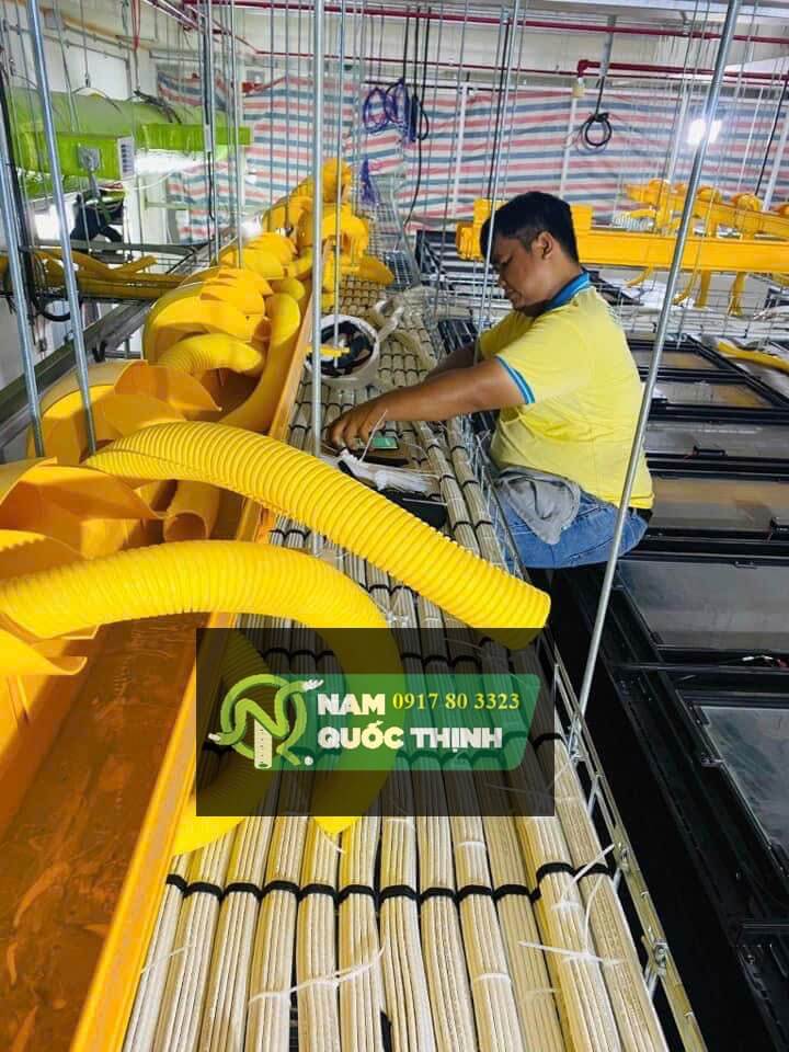 di day mang cap dang luoi data trunking