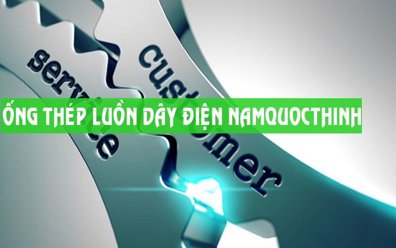 DỊCH VỤ NQT